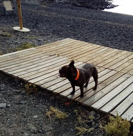 Alloggio in famiglia Laurainu Check In De 15 A 22 Hora